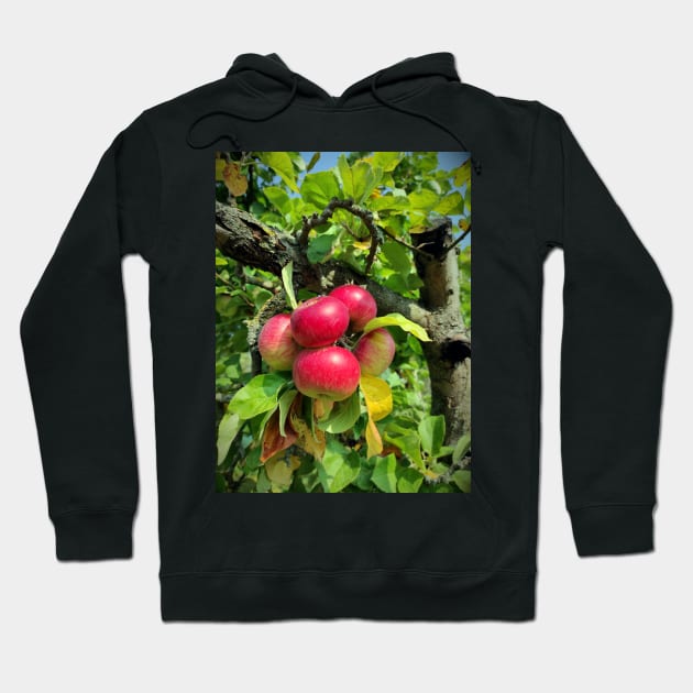 apple grape Hoodie by Gourmetkater